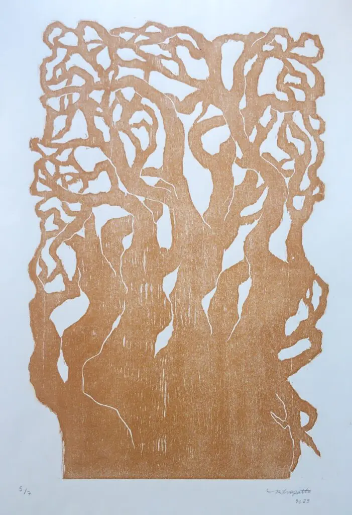 ESCOLAS FAPESP 2025 - Humanas - Renata Frazatto